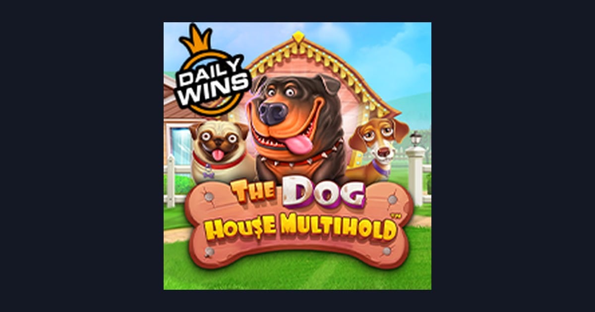 Tips Menang Buat Pemula di The Dog House Multihold Slot Pragmatic Play